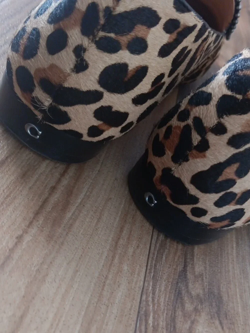 Coach Harper Bead Calf Hair Leopard Loafer